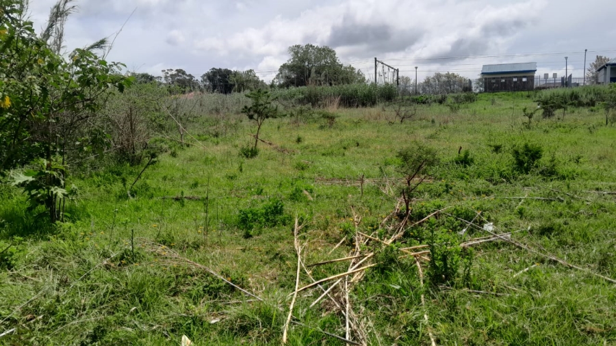 0 Bedroom Property for Sale in Berlin Eastern Cape